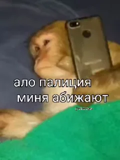 🚓