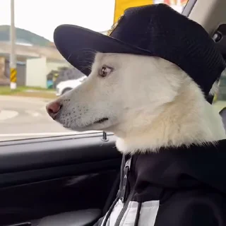 😎