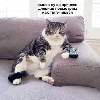 🤭