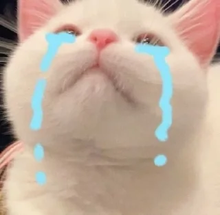 😢