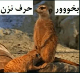 😐