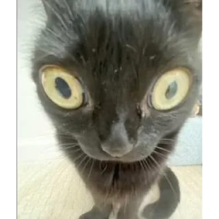 😳