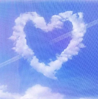 💗