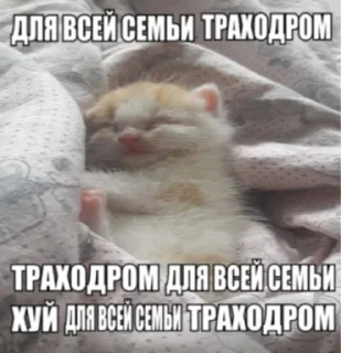 👉