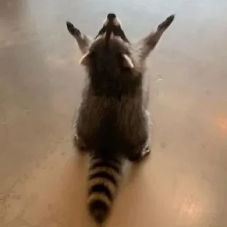😱