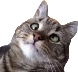 🫠