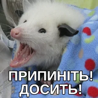 😭