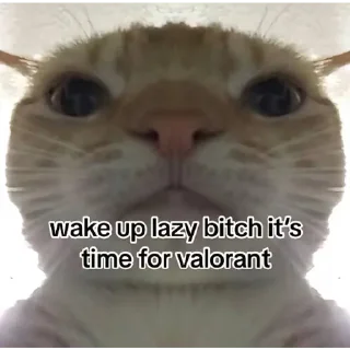 🤖