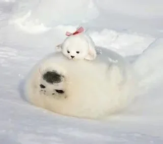 🥰