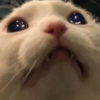 😵