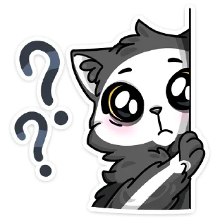 ❓