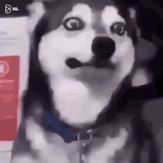 🤢