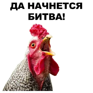 💪
