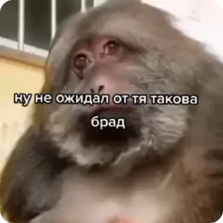 😦