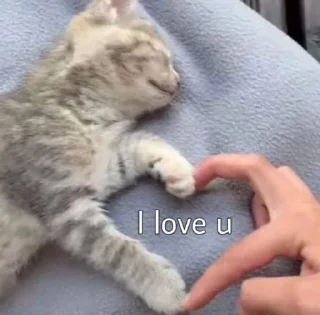 ❤️