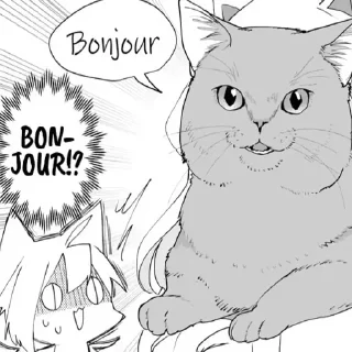 😼