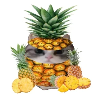 🍍