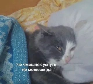 😴