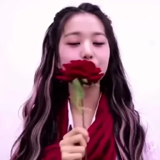 🌹