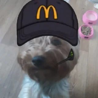 😋