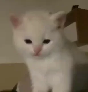 🤭