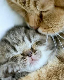 😙