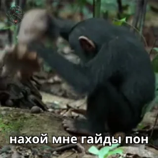 🔥