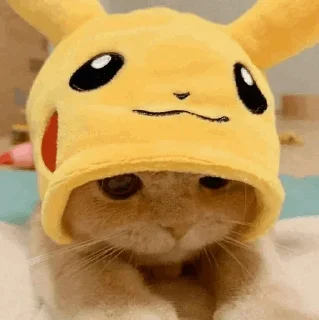 🐾