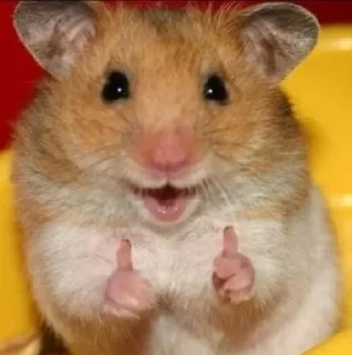 👍