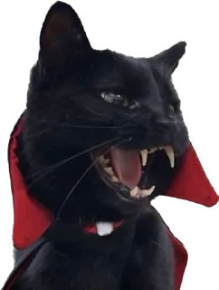 🧛‍♂️