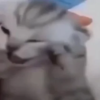 😵‍💫