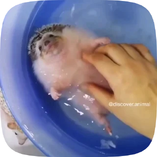 🥲