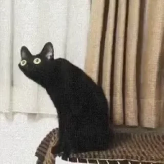 😲
