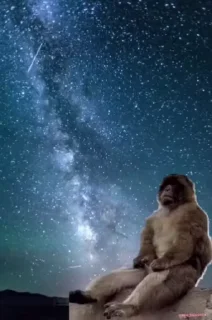 🌌
