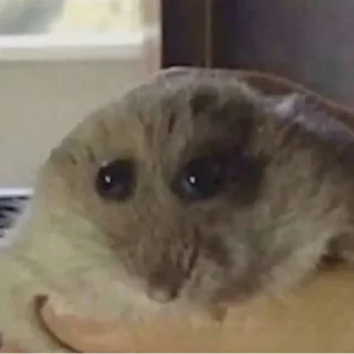 😐