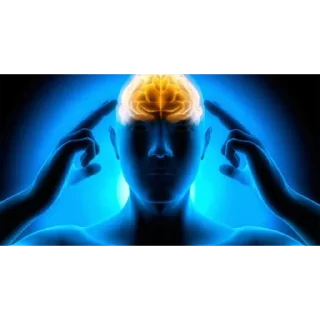 🧠