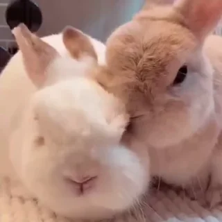 ♥️