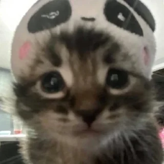 😳