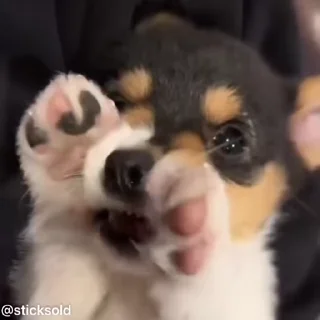 ❤️