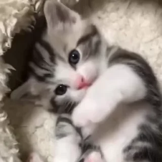 😚