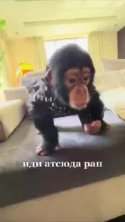 🌟