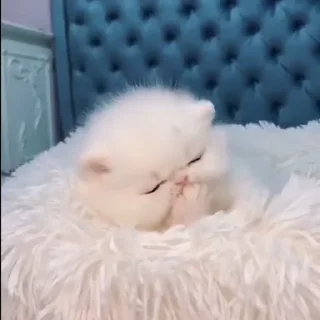 😴