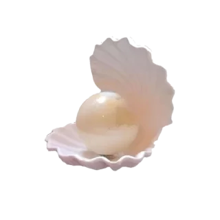 🐚