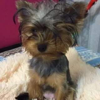 😐