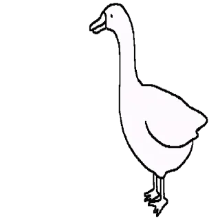 Crazy White @stickerstgrm