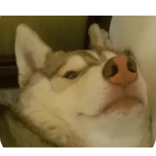 👍