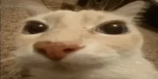 😐