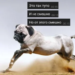 🐶