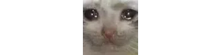 😭