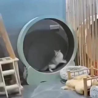 🏃